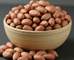 Peanut Kernel